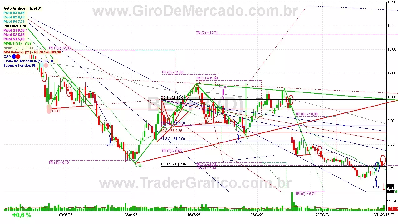 BEEF3 analisado em 13-11-23 por Carlos Martins, CNPI-t