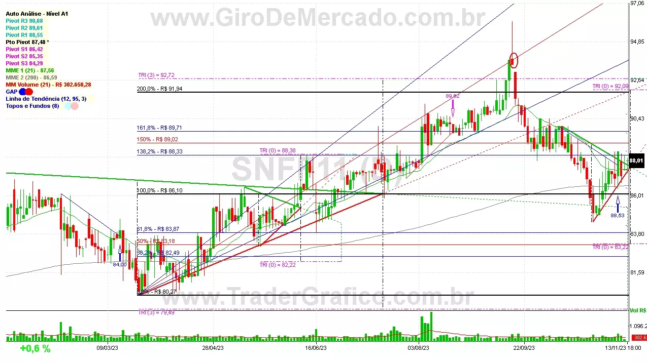 SNFF11 analisado em 13-11-23 por Carlos Martins, CNPI-t