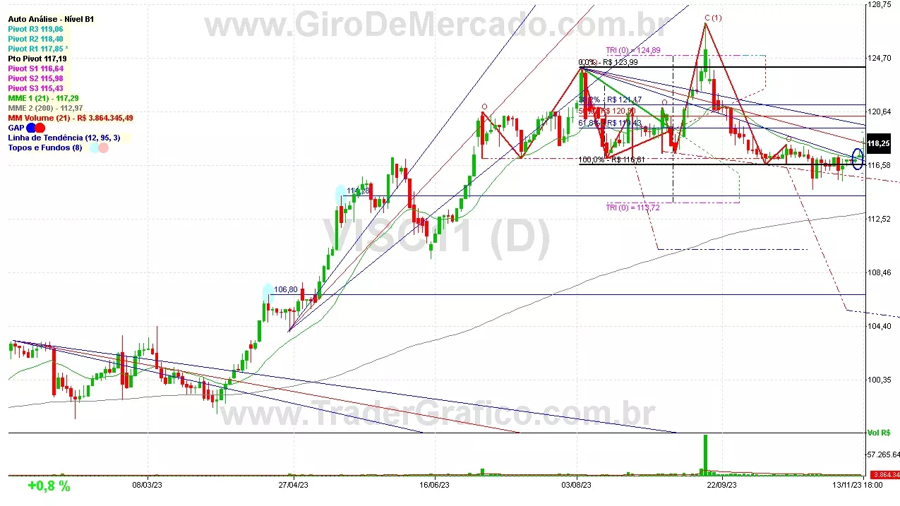 VISC11 analisado em 13-11-23 por Carlos Martins, CNPI-t