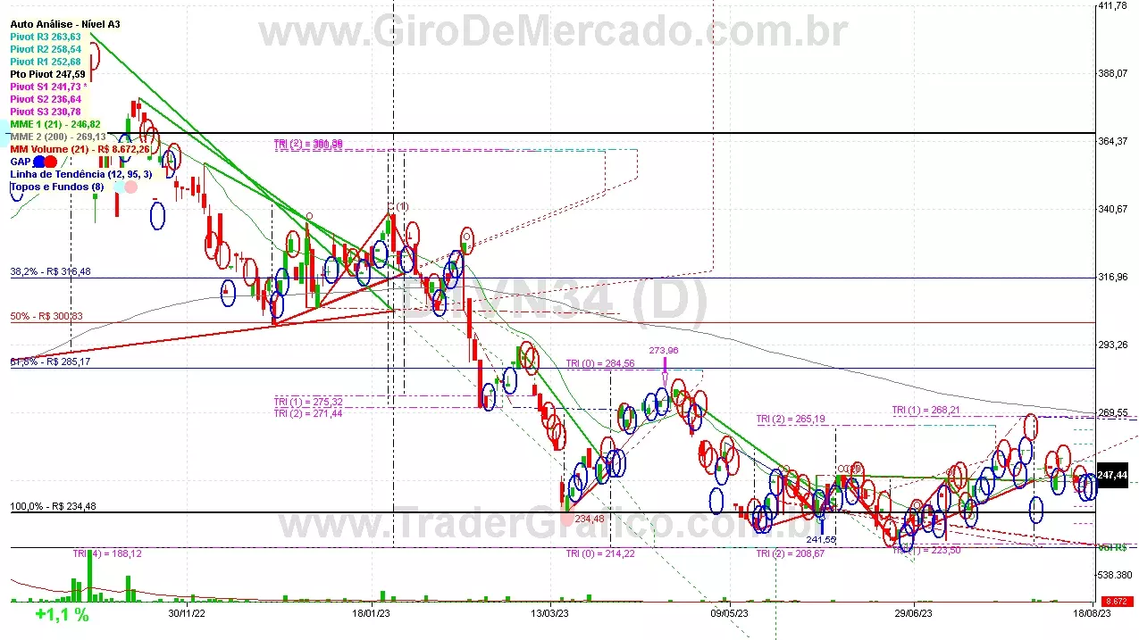 D1VN34 analisado em 18-08-23 por Carlos Martins, CNPI-t