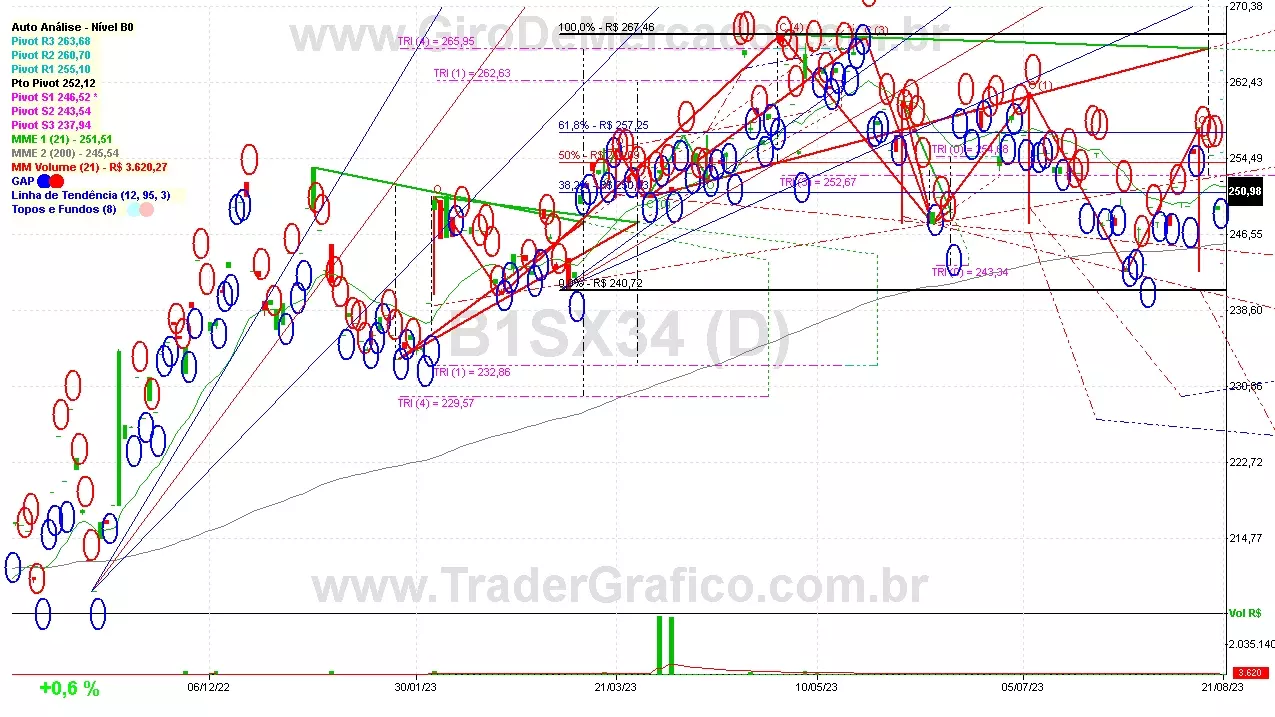 B1SX34 analisado em 21-08-23 por Carlos Martins, CNPI-t